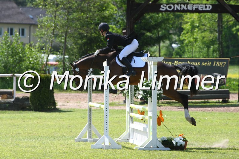 204M1329_Lohes Boy_Spring_Ax.JPG